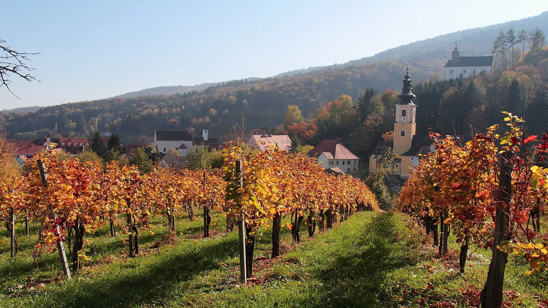 View of the autumnal Sulm valley with vineyards, colorful foliage and churches from Bad Schwanberg in southwestern Styria.