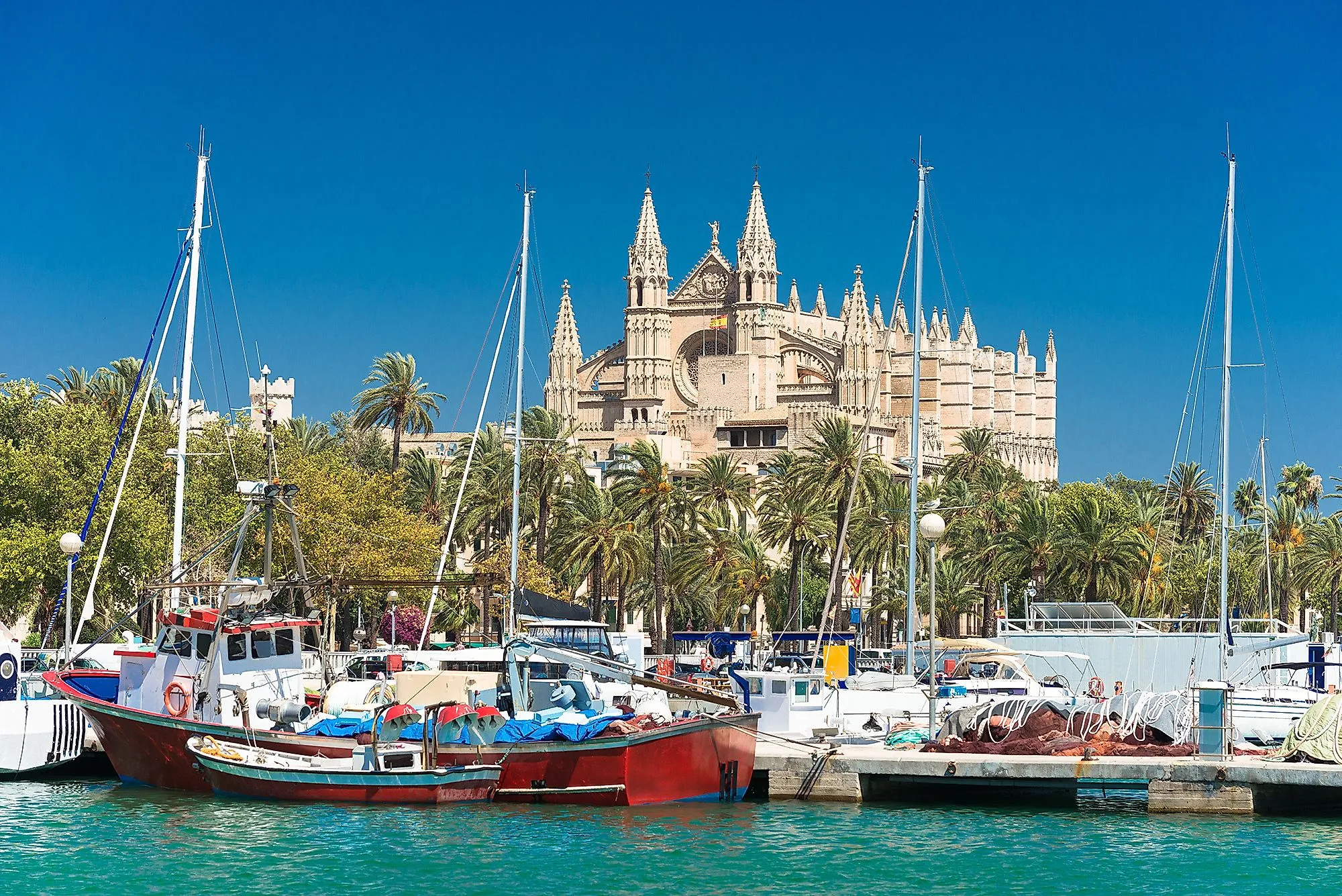 Kathedrale La Seu in Palma de Mallorca hinter Yachthafen und Palmen