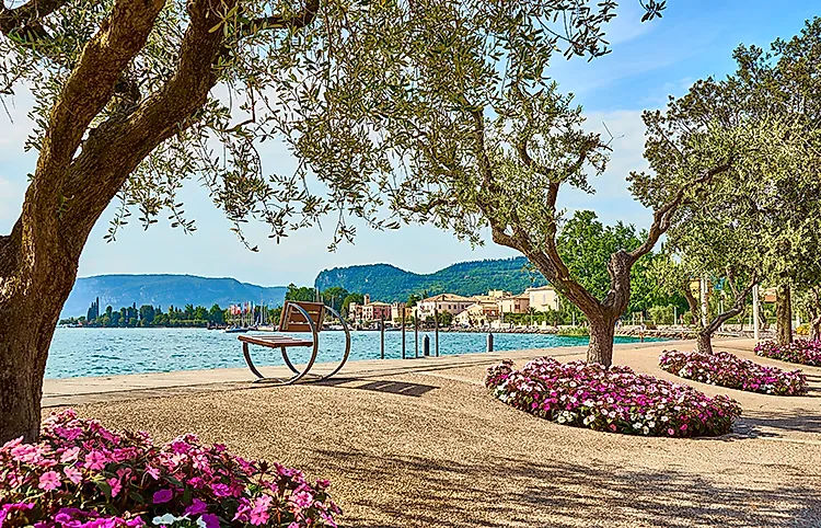 Lake Garda promenade with flowers, trees and views of the town and mountains under a blue sky