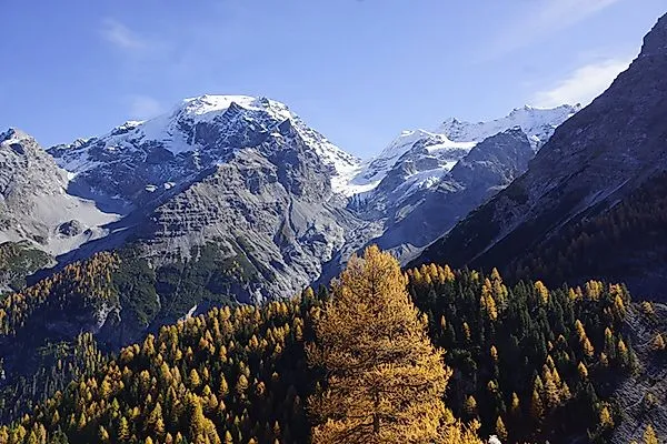 Herbstliche Wälder und verschneite Berggipfel bei Elm in der Schweiz – Panoramaaufnahme mit Lärchen und Fernblick