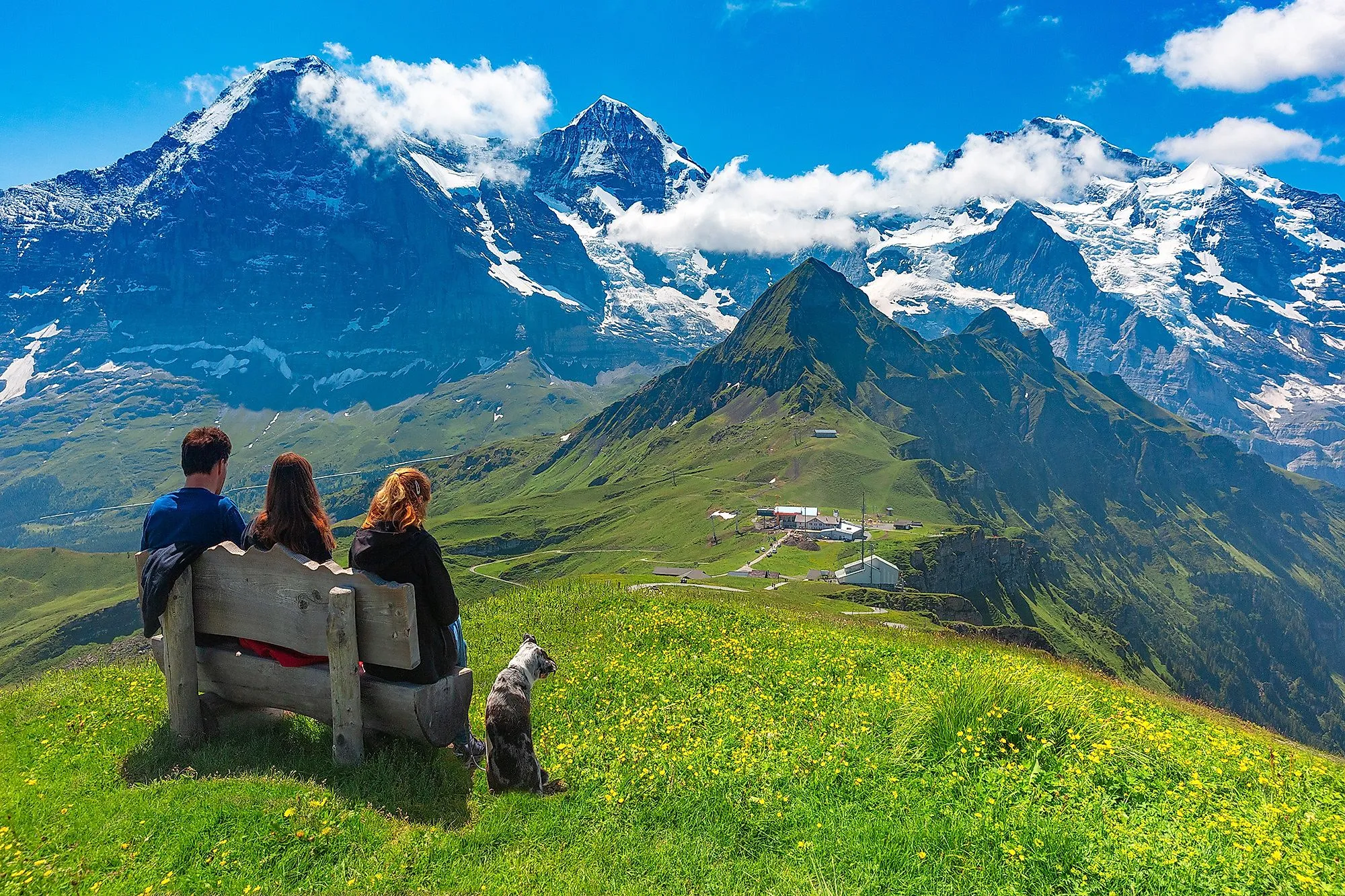 Wanderer mit Hund blicken auf Eiger, Mönch und Jungfrau im Berner Oberland