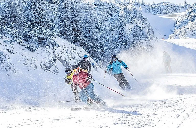 Skifahrer fahren gemeinsam durch frischen Pulverschnee am Hochkar bei Göstling