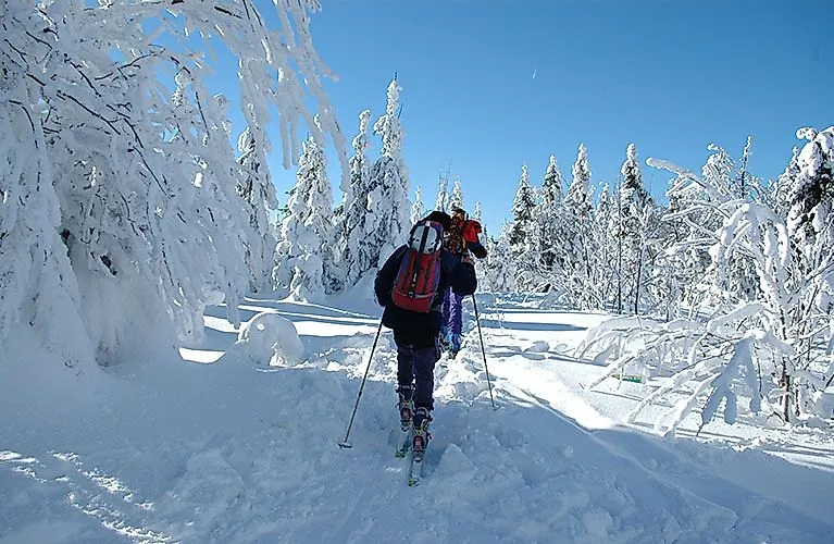 Skitourengeher im verschneiten Winterwald bei blauem Himmel in Fichtelberg.