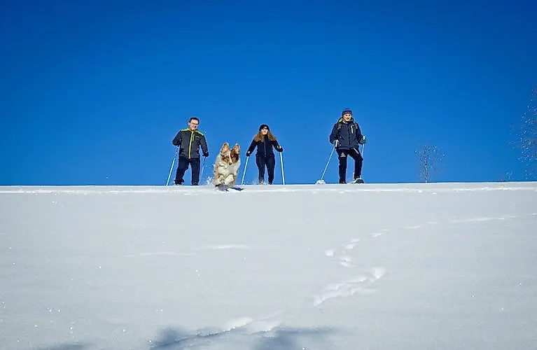 Winterwanderung mit Schneeschuhen bei Neuschönau im Bayerischen Wald vor strahlend blauem Himmel