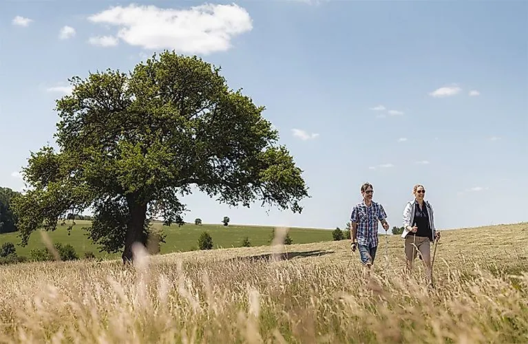 Two hikers on a walk through the blossoming landscape in the lovely Tauber Valley near Bad Mergentheim.
