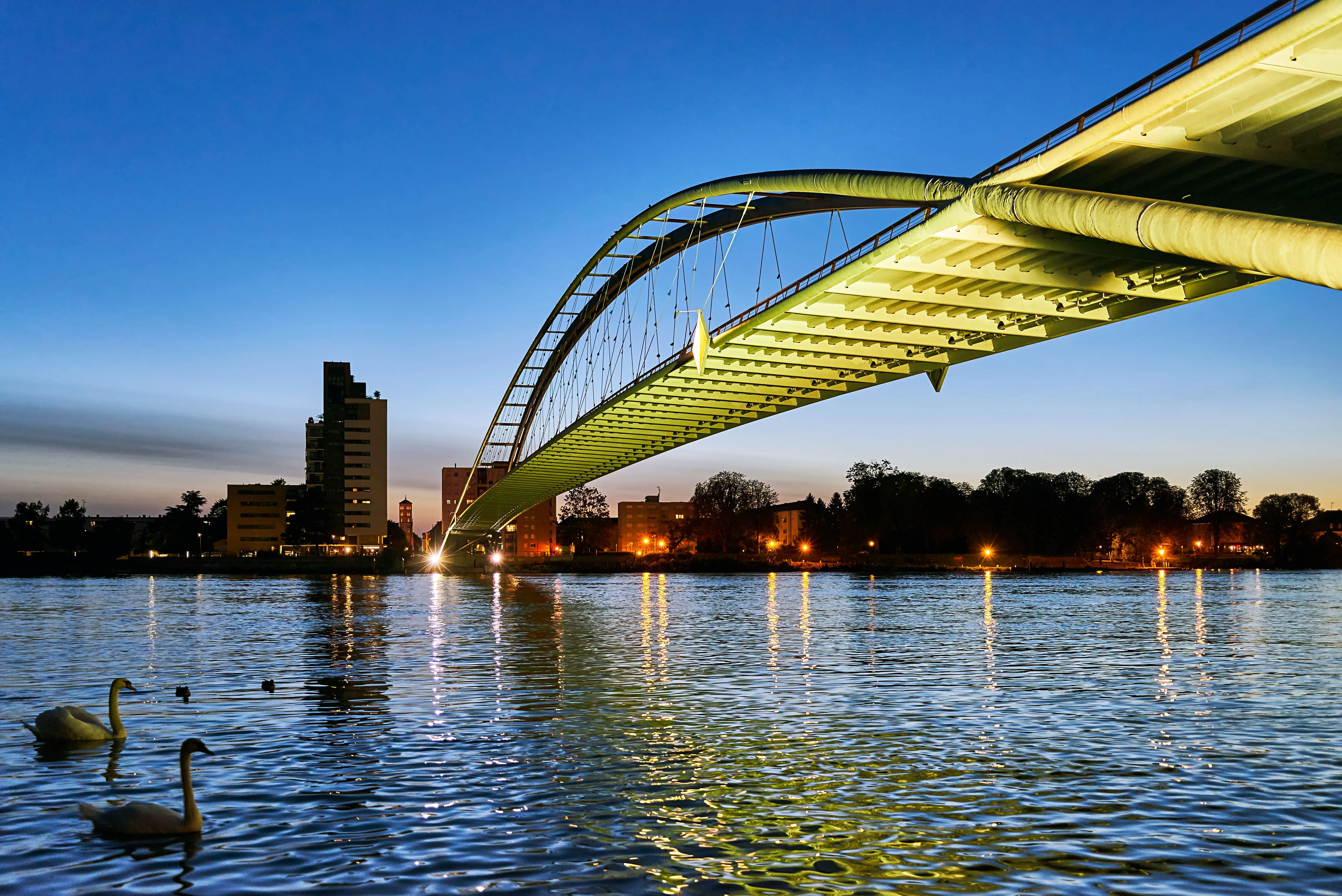 Pont des trois pays sur le Rhin au crépuscule avec skyline illuminé et cygnes dans l'eau
