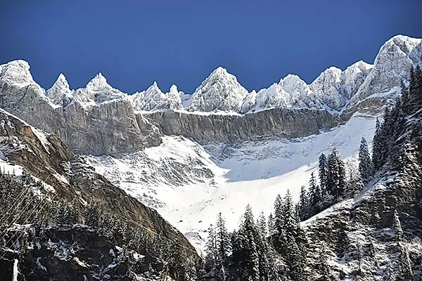 Schneebedeckte Bergspitzen der Tschingelhörner bei Elm in der Schweiz unter blauem Himmel mit Nadelbäumen im Vordergrund