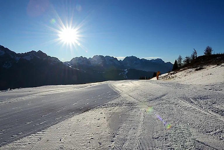 Verschneite Berglandschaft mit Nadelbäumen im Val di Sole mit Blick auf die Alpen