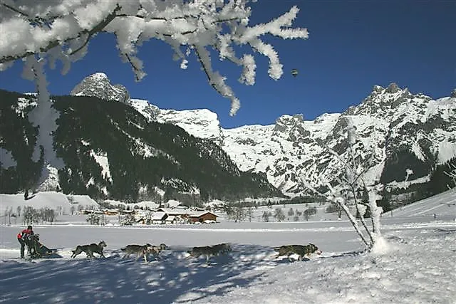 Hundeschlittenfahrt durch verschneite Winterlandschaft in Werfenweng