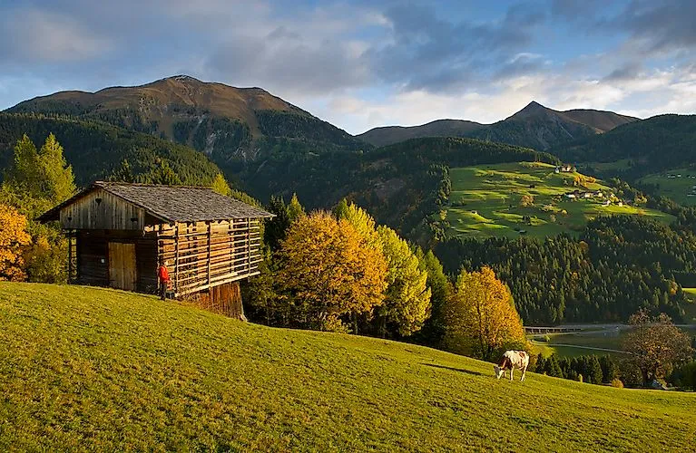 Almhütte im Lesachtal mit Kuhweide vor Bergpanorama