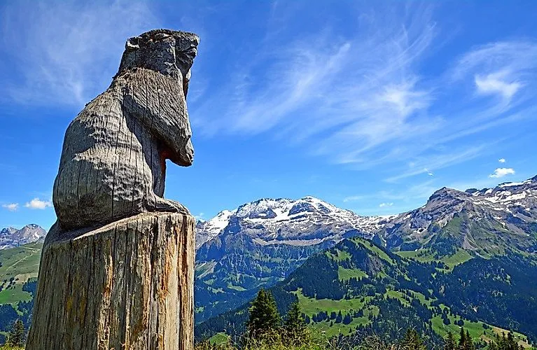 Marmotta davanti a uno scenario montano estivo vicino a Lenk, nella Simmental in Svizzera