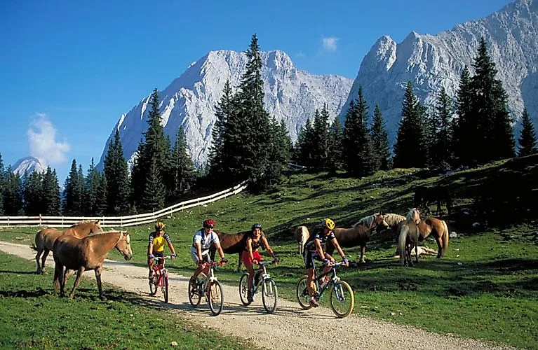 Vier Radfahrer durchqueren eine Almwiese bei Ehrwald, umgeben von Pferden und imposanten Bergen der Zugspitzregion.